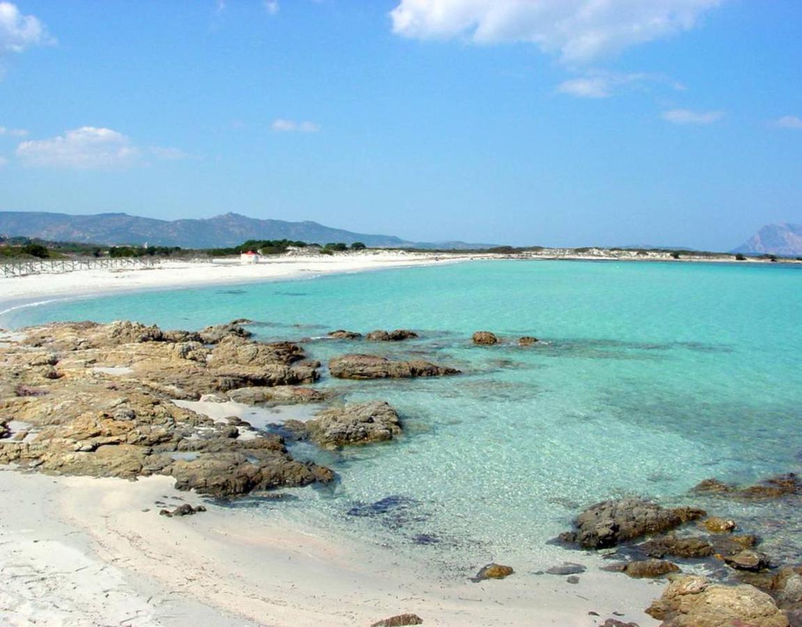 Appartamento Brezza Marina Будони Экстерьер фото