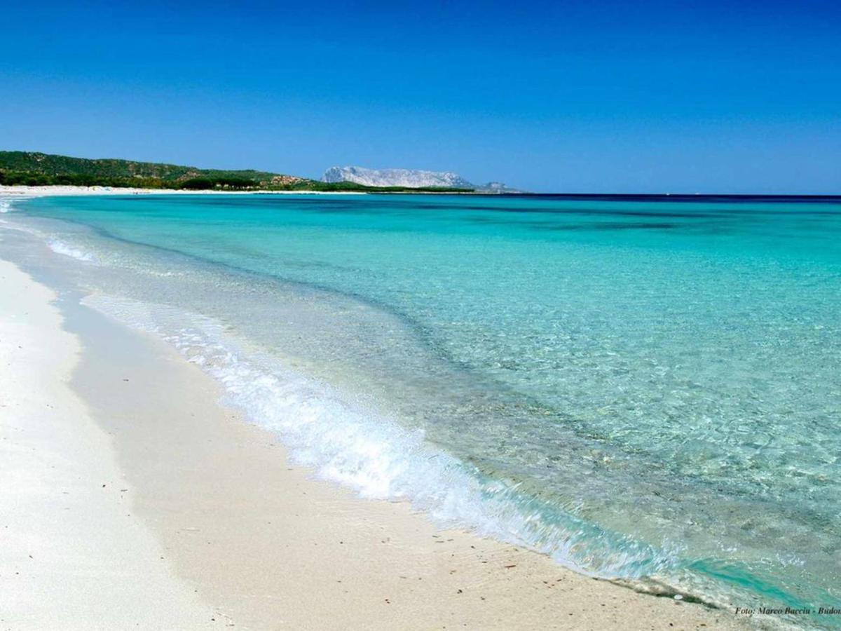 Appartamento Brezza Marina Будони Экстерьер фото